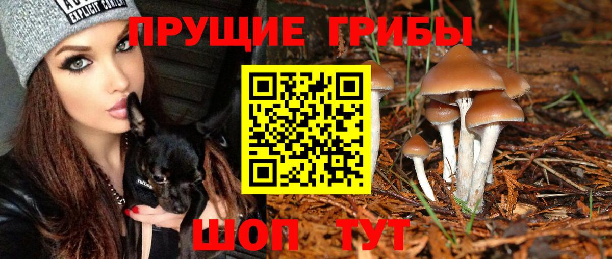 Тихвин  Псилоцибиновые грибы Cubensis  Галлюциногенные грибы мицелий  Вход с VPN 