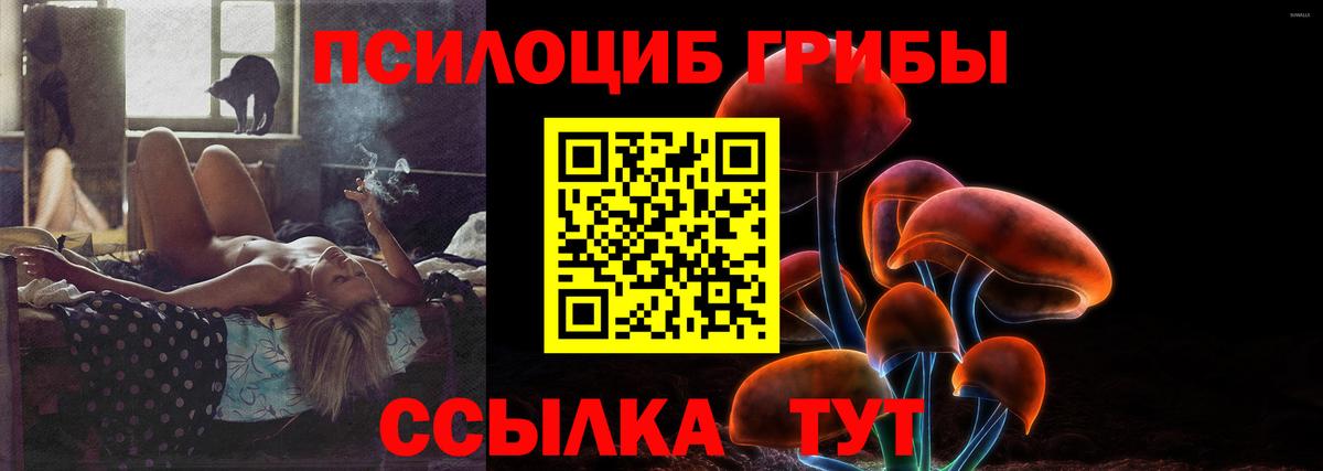 Псилоцибиновые грибы GOLDEN TEACHER Тихвин